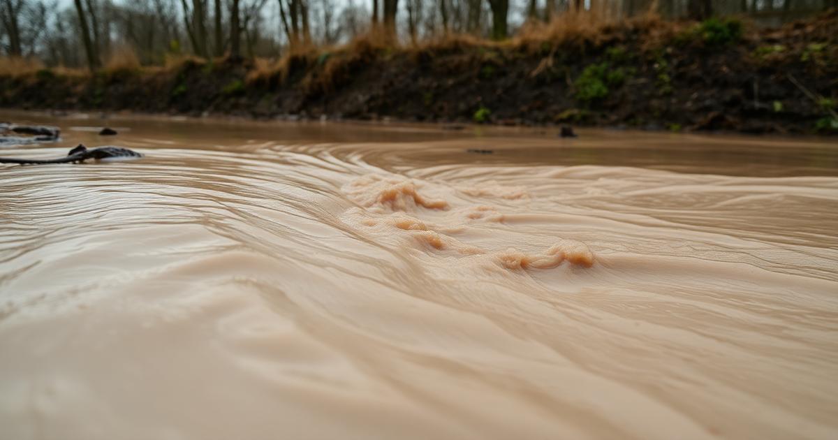 After the storm: what a single Quassaick rain event tells us about our stormwater program
